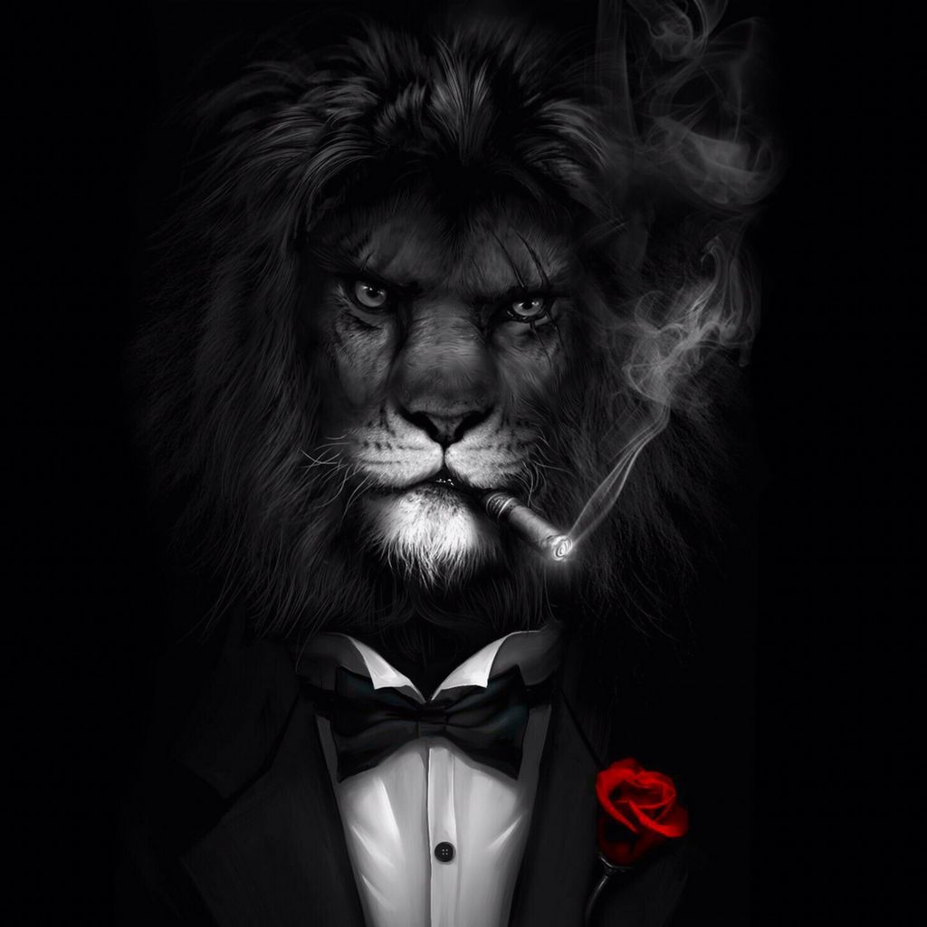 Скачать онлайн-казино Lev - мобильное приложение для игры в казино