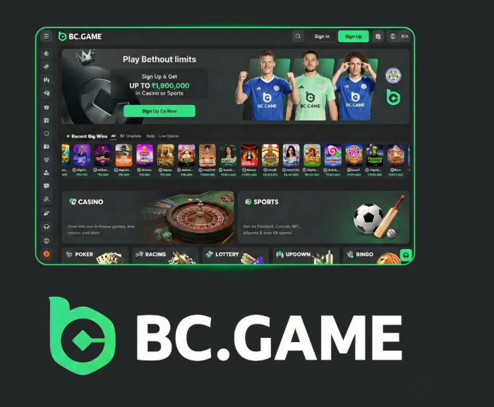 Exploring BC.Game Casino and Sportsbook A Comprehensive Guide -245773494